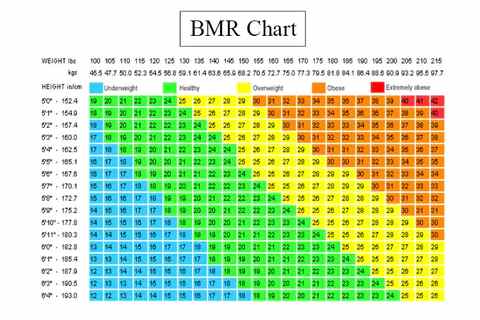 expert-backed Basal Metabolic Rate (BMR) calculator chart provides an estimated number of calories your body burns in a single day.